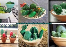 Aprende como crear cactus hechos con piedra