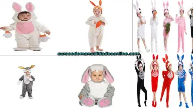 Aprende diferentes trucos de como confeccionar un disfraz de conejo para niños Aprende diferentes trucos de como confeccionar un disfraz de conejo para niños